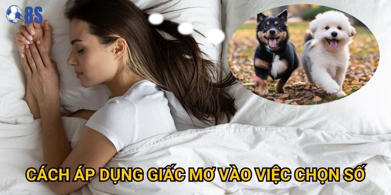 Giấc mơ thấy chó đánh con gì tại 8s báo hiệu điều gì? 3 Cách áp dụng giấc mơ vào việc chọn số