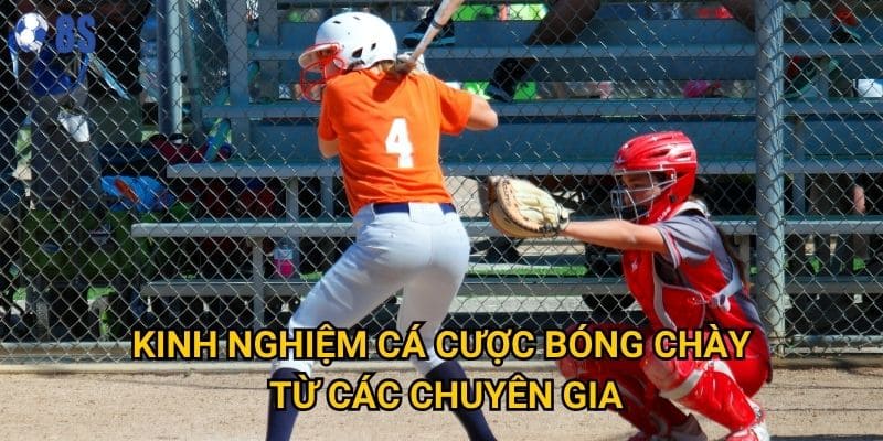 Tại sao cá độ bóng chày Nhật Bản lại hấp dẫn người chơi tại 8s? 3 Kinh nghiệm cá cược bóng chày từ các chuyên gia