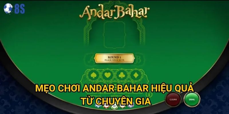 Làm sao để nắm vững cách chơi andar bahar tại 8s một cách nhanh chóng? 3 Mẹo chơi andar bahar hiệu quả từ chuyên gia