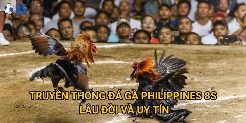 Làm sao để thành công với Đá gà Philippines tại 8s? 2 Truyền thống Đá gà Philippines 8s lâu đời và uy tín